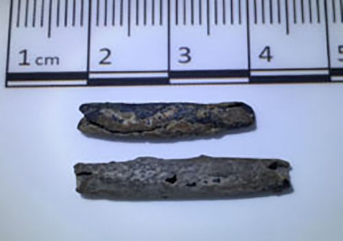 Two copper beads from Adobe Walls site, WSMR.  