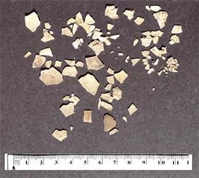 Turkey Egg Sherds