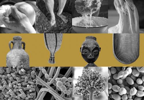 A montage of black and white images including molecules, human hands acting in the fermentation process and collection objects created for storing, processing and consuming fermented products.