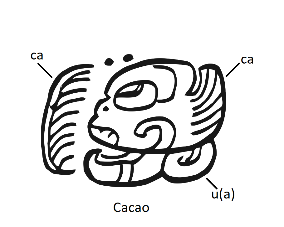 cacao hieroglyph cacao