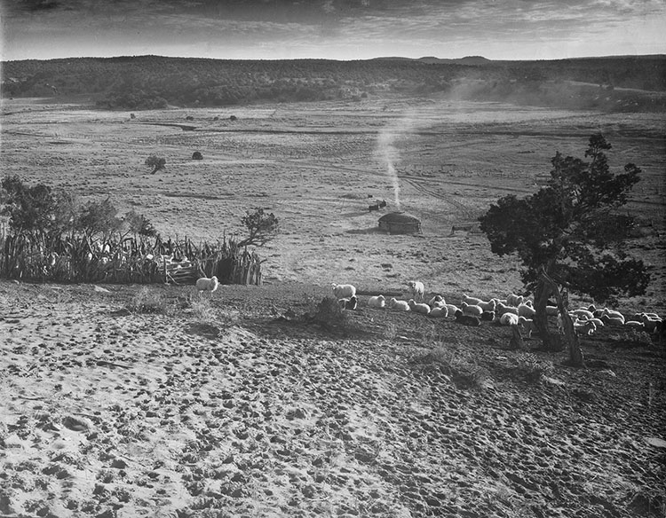 Landscape of the Navajo Nation, John Collier, 1948