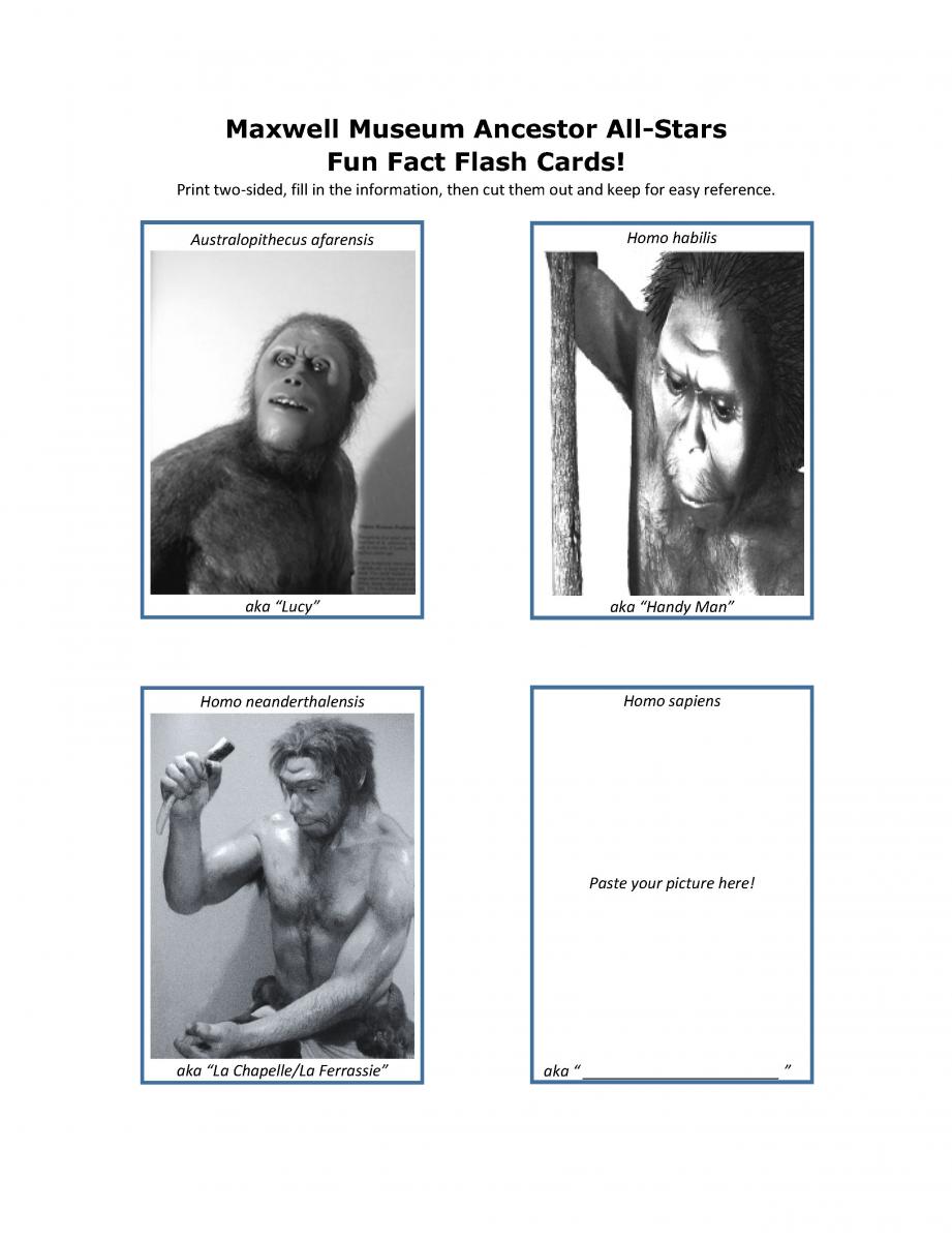 Maxwell Museum Ancestors Fun Fact Flash Cards