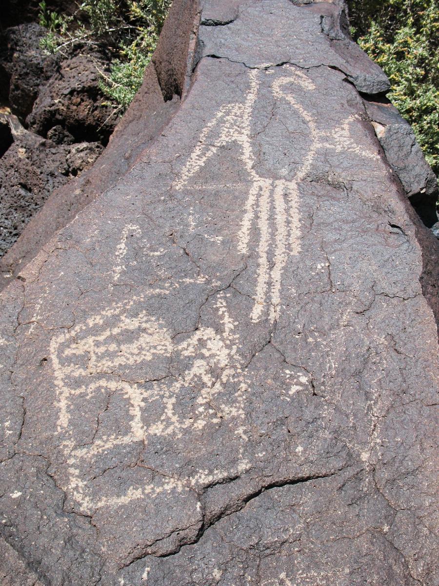 Two Parrot Petroglyph