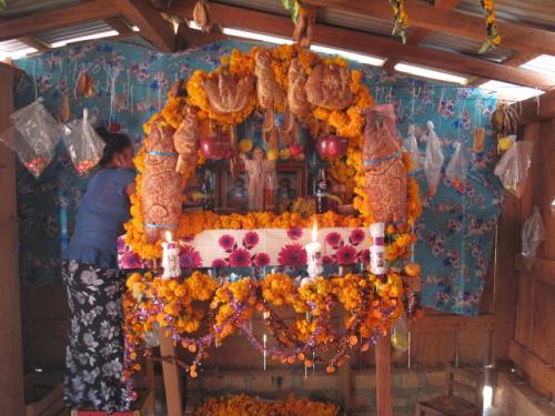 "A home Día de Muertos altar in the Ñuu Savi (Mixtec) Indigenous town of El Jicaral, Oaxaca, Mexico. Photo by: Julián Antonio Carrillo, 2016.*
