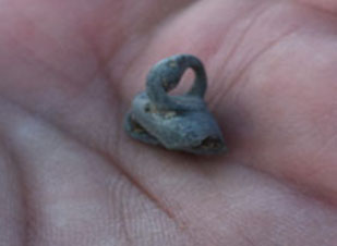 Photograph of the altered copper bell from LA 117502 taken upon its discovery in the field.