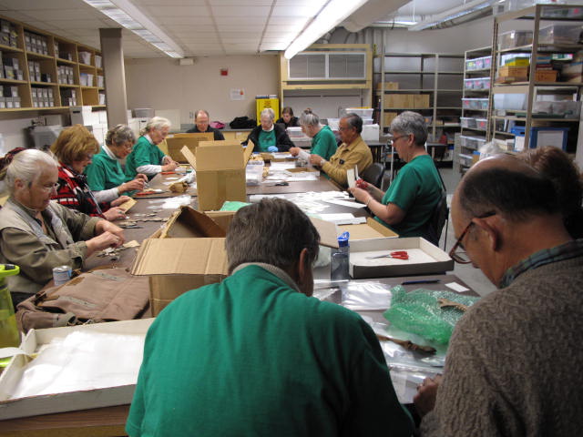 Archaeology volunteers documenting collection artifacts